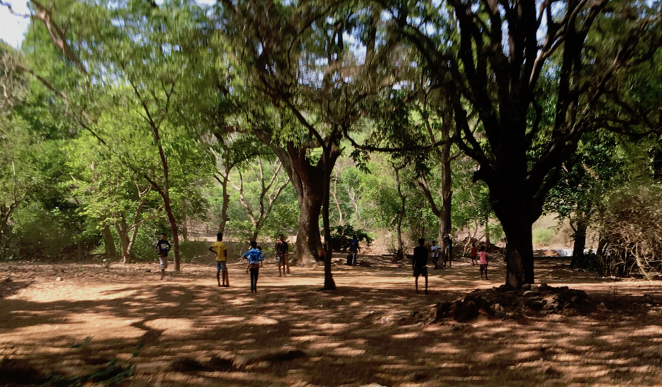 Playing cricket in the Sanjay Gandhi National Park